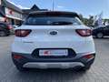 Kia Stonic 1.2 ED7 EMOTION Allwetterreifen Klima Weiß - thumbnail 6
