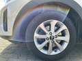 Kia Stonic 1.2 ED7 EMOTION Allwetterreifen Klima Weiß - thumbnail 10