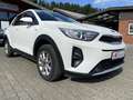 Kia Stonic 1.2 ED7 EMOTION Allwetterreifen Klima Weiß - thumbnail 9