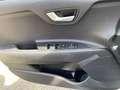 Kia Stonic 1.2 ED7 EMOTION Allwetterreifen Klima Weiß - thumbnail 14