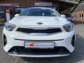 Kia Stonic 1.2 ED7 EMOTION Allwetterreifen Klima Weiß - thumbnail 3