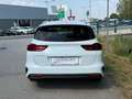 Kia Ceed / cee'd Kia ceed SW 1,5 TGDI Gold Weiß - thumbnail 5