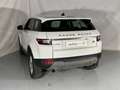 Land Rover Range Rover Evoque 2.0eD4 Pure 2WD 150 Білий - thumbnail 6