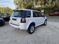 Land Rover Freelander LAND ROVER FREELANDER II (2) ED4 SE 108450 KMS Blanco - thumbnail 3