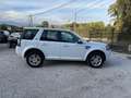 Land Rover Freelander LAND ROVER FREELANDER II (2) ED4 SE 108450 KMS Blanco - thumbnail 4