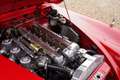 Jaguar XK XK150 3.4 Litre Drophead Coupe Completely restored Rojo - thumbnail 11