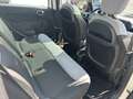 Fiat 500L 1.4 Lounge 95cv - thumbnail 12