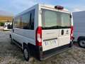 Fiat Ducato 30 2.2 Mjt 140CV PC-TN Panorama Bianco - thumbnail 2
