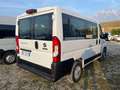 Fiat Ducato 30 2.2 Mjt 140CV PC-TN Panorama Bianco - thumbnail 3