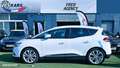 Renault Scenic REANULT 1.7 Blue dCi 120ch Business Intens EDC-MOTEUR A CHAINE Blanc - thumbnail 3