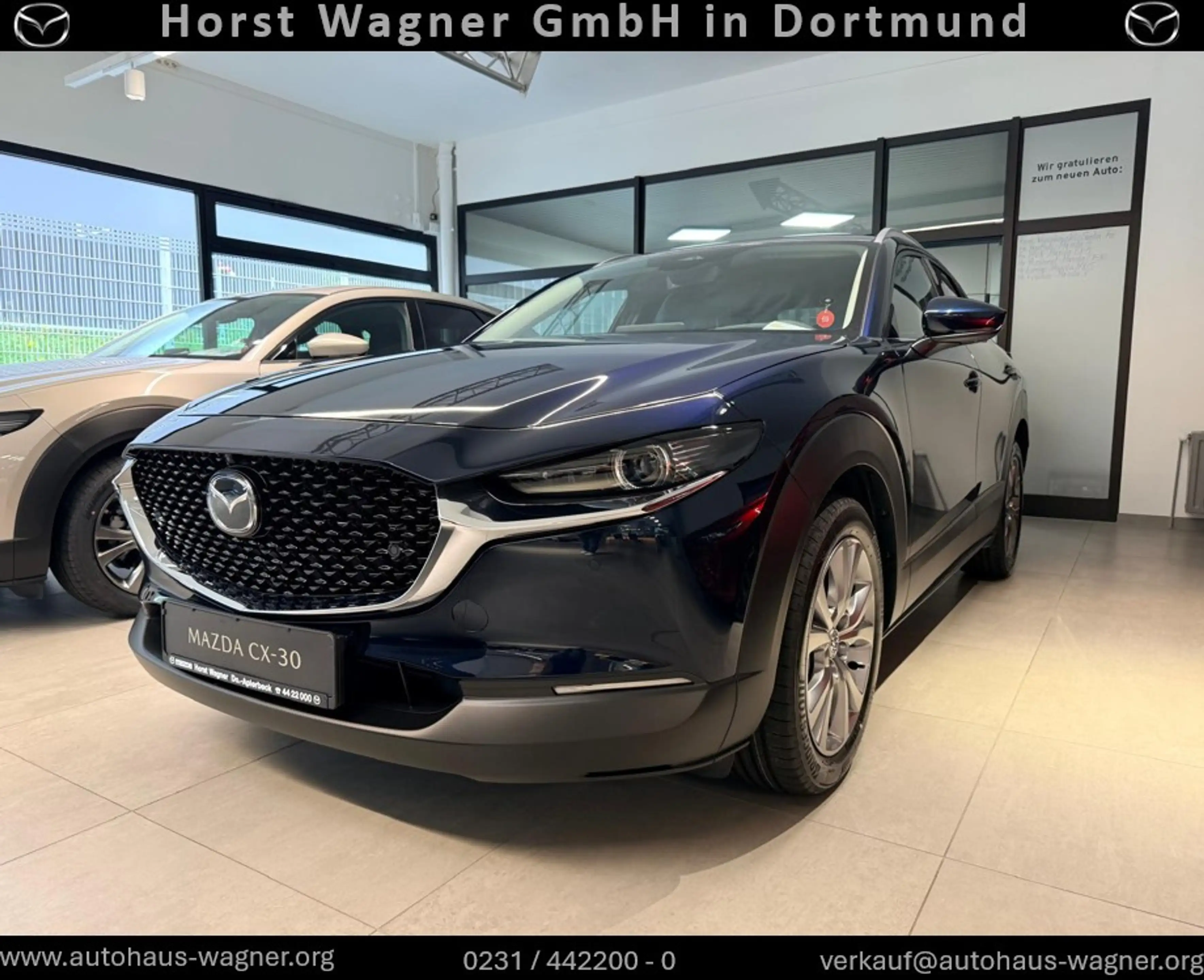 Mazda CX-30 2027 Takumi *Automatik*Leder*Bose*LED*360*