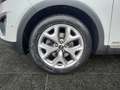 Kia Sorento 2,2 CRDi ISG AWD Platin Weiß - thumbnail 15