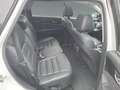 Kia Sorento 2,2 CRDi ISG AWD Platin Weiß - thumbnail 14