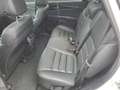 Kia Sorento 2,2 CRDi ISG AWD Platin Weiß - thumbnail 13