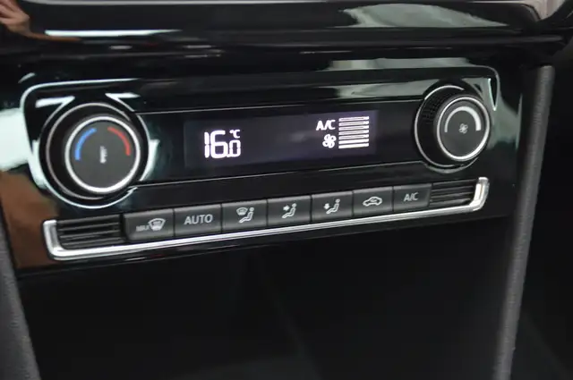 Volkswagen Polo view 13
