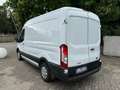 Ford Transit 290 L2H2 TREND 2.0 ECO MHEV Bianco - thumbnail 3