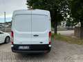 Ford Transit 290 L2H2 TREND 2.0 ECO MHEV Bianco - thumbnail 5