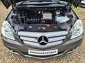 Mercedes-Benz B 180 B -Klasse BlueEfficiency Gris - thumbnail 15