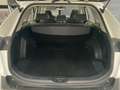 Toyota RAV 4 RAV4 RAV4 2.5l 220H Business 4WD Wit - thumbnail 13
