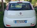 Fiat Grande Punto Grande Punto 1.4 Actual easypower Gpl 77cv 5p Bianco - thumbnail 3