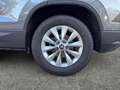 Skoda Karoq 4x4 Selection TDI DSG Grau - thumbnail 20