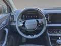 Skoda Karoq 4x4 Selection TDI DSG Grau - thumbnail 11