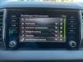 Skoda Karoq 4x4 Selection TDI DSG Grau - thumbnail 14