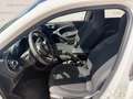 smart forFour 0.9 90CV PASSION SPORT PACK LED PANO BLOCK SHAFT Wit - thumbnail 12