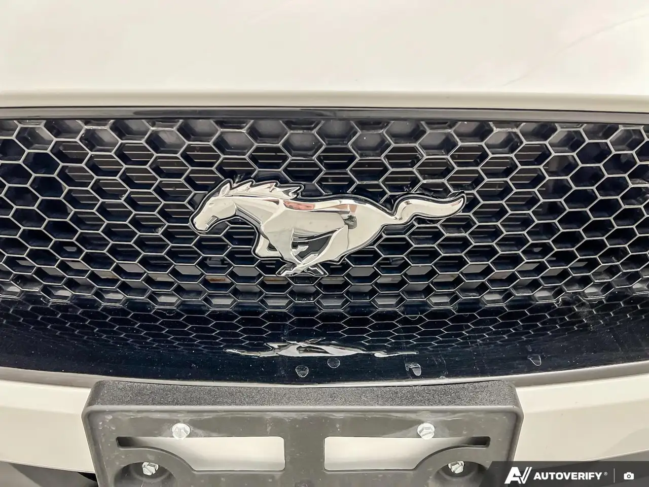 Ford Mustang снимка Ford Mustang