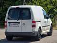 Volkswagen Caddy Life 1,9 TDI Life Export* Klima* Weiß - thumbnail 4