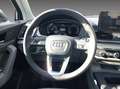 Audi Q5 40TDI Quattro S-tronic Advanced *LED*KAMERA*N Bleu - thumbnail 11