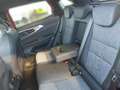 Renault Austral Techno Mild Hybrid 160 Automatik Rot - thumbnail 10