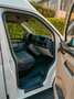 Volkswagen T6 Multivan 2.0 tdi trasporter 102cv refrigerato Bianco - thumbnail 8