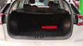 Kia Niro 1.6 HEV Business Blanco - thumbnail 16