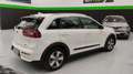 Kia Niro 1.6 HEV Business Blanco - thumbnail 7