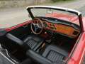Triumph TR4 Rosso - thumbnail 9