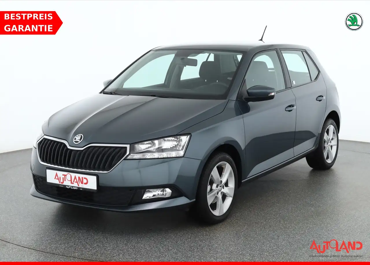 Skoda Fabia 1.0 MPI Cool Plus Klima Sitzheizung DAB