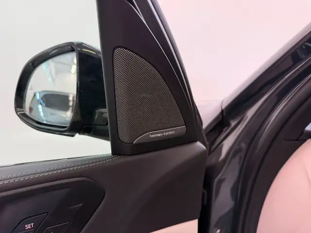 BMW X5 X5 view 10