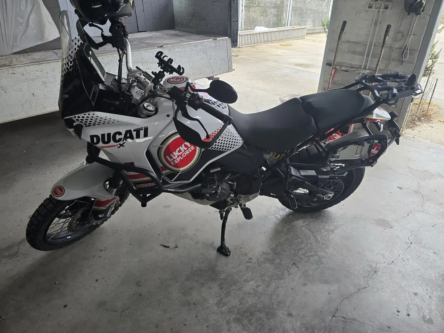 Ducati DesertX lucky explorer Blanco - 2