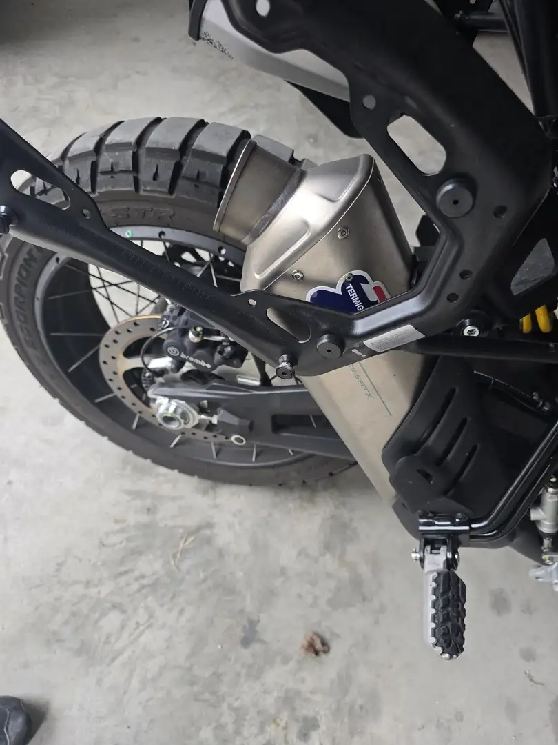 Ducati DesertX lucky explorer Blanco - 1