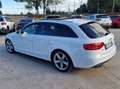 Audi A4 A4 AVANT 2.0 tdi S-LINE INTERNO ED ESTERNO TETTO Bianco - thumbnail 7