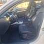 Audi A4 A4 AVANT 2.0 tdi S-LINE INTERNO ED ESTERNO TETTO Bianco - thumbnail 14