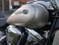 Yamaha XV 1600 A Wild Star mit Windschild Beige - thumbnail 11