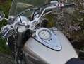 Yamaha XV 1600 A Wild Star mit Windschild Beige - thumbnail 7