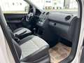 Volkswagen Caddy 1,6 TDI BMT Kasten, Weiß - thumbnail 5