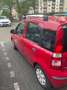 Fiat Panda Panda 1.2Dynamic Rot - thumbnail 1