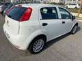 Fiat Punto Punto III 2012 5p 1.2 Street E6 Blanc - thumbnail 1