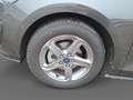 Ford Focus 1,0 EcoBoost Hybrid Titanium Edition Grau - thumbnail 14