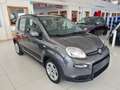 Fiat Panda MY21 1.0 70CV Hybrid City Life Grigio - thumbnail 3