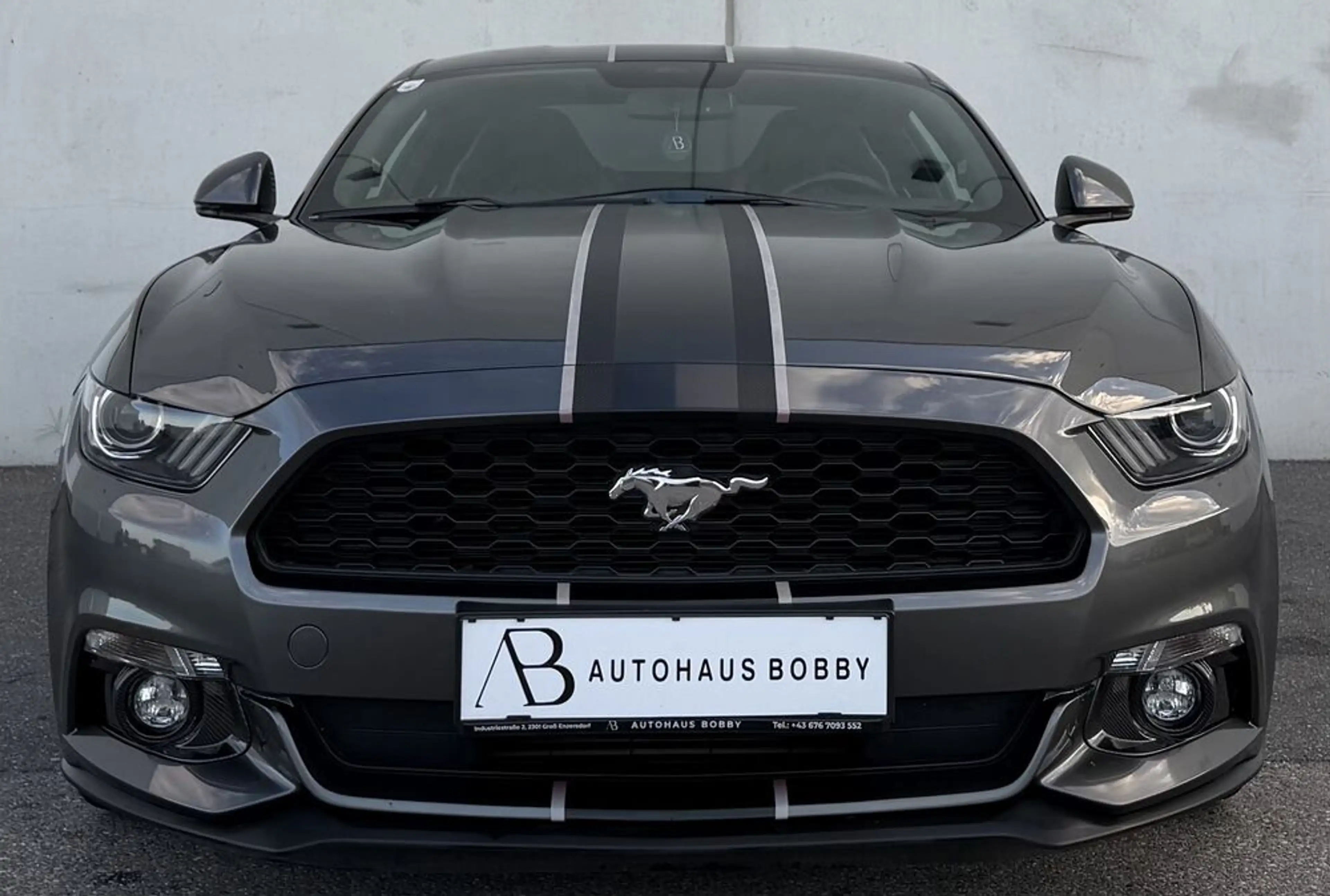 Ford Mustang Mustang — photo 5